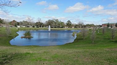 photograph garden town block wise photo of eden lawn