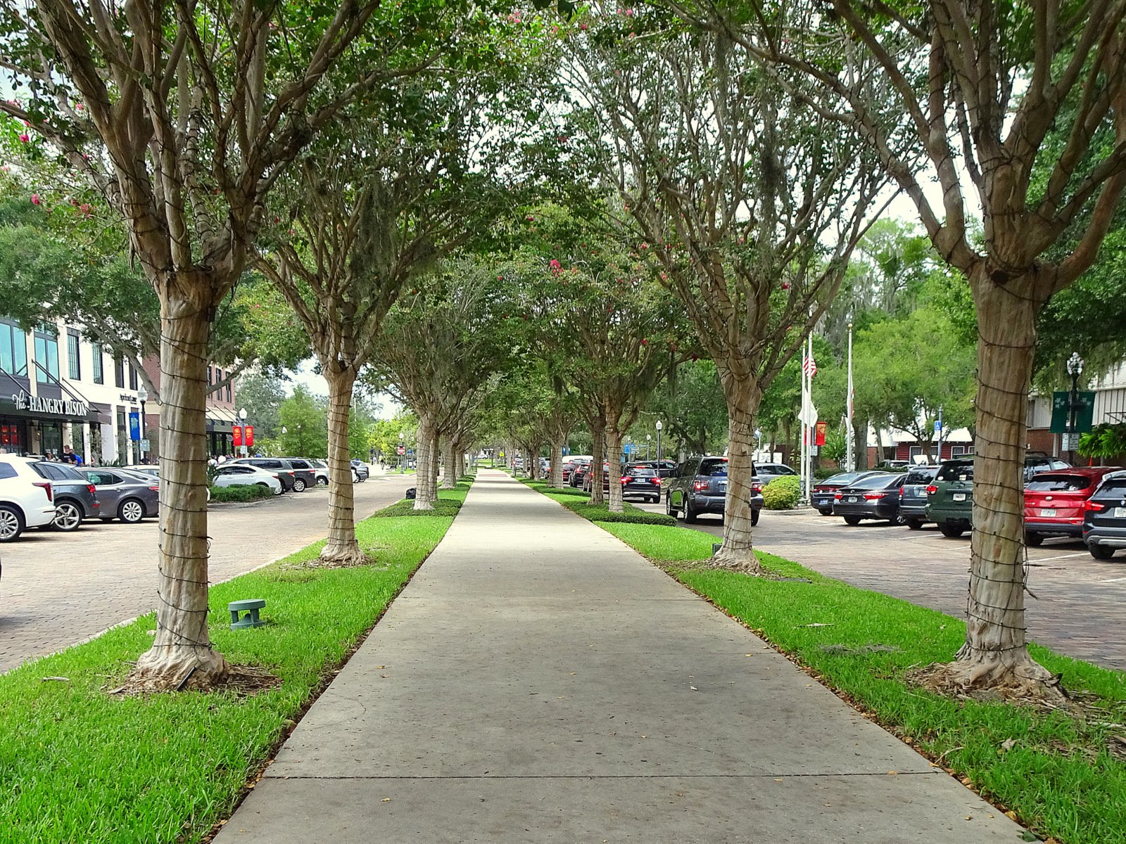 West Orange Trail Downtown