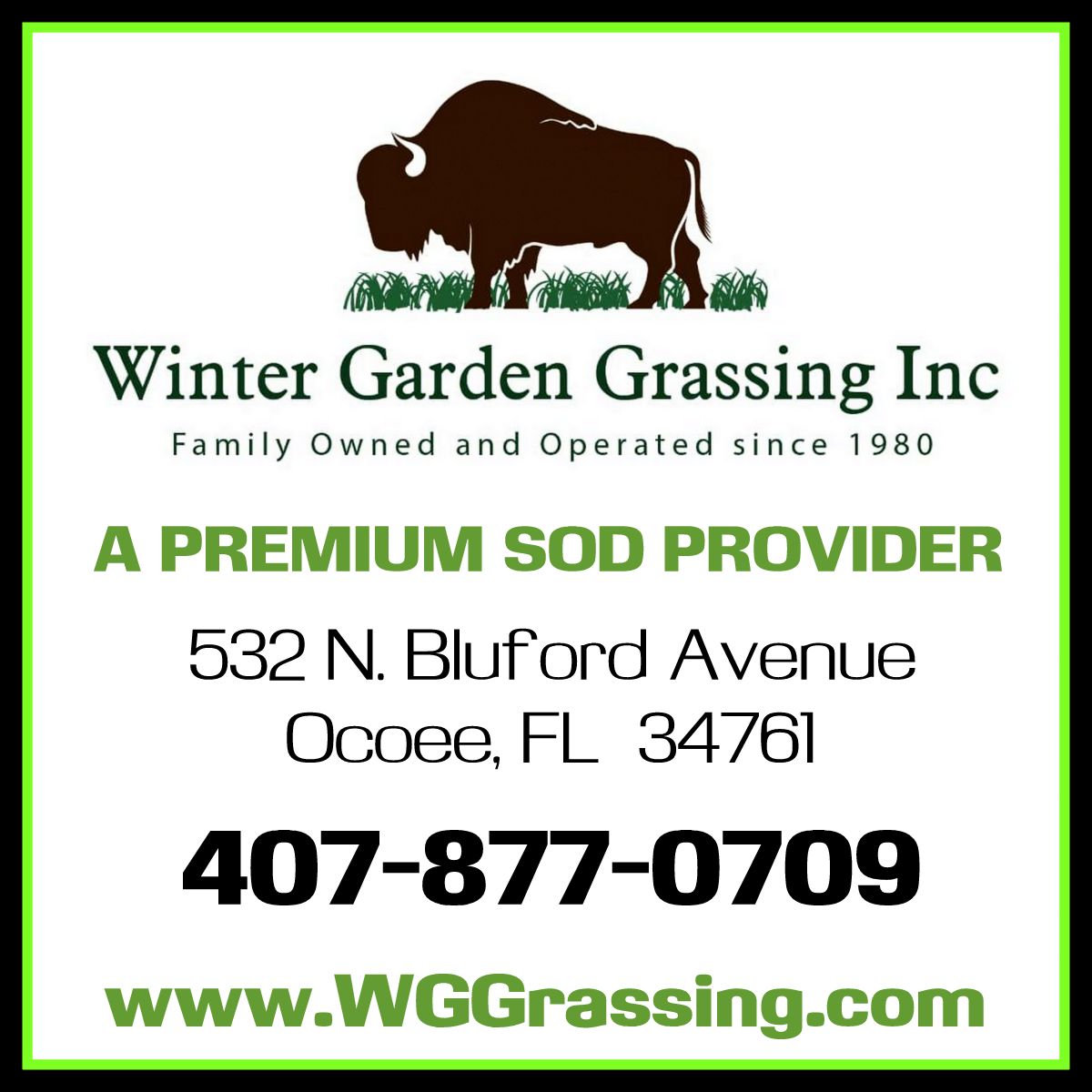 Winter Garden Grassing